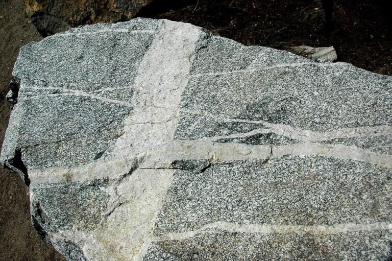 Aplite dikes in Sierra Nevada Batholith host rock