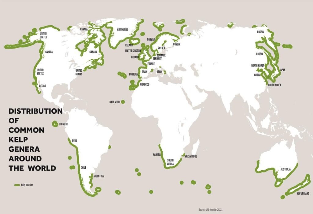 Kelp forests map 