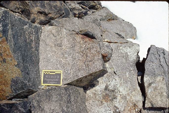 Porphyritic gabbro rock