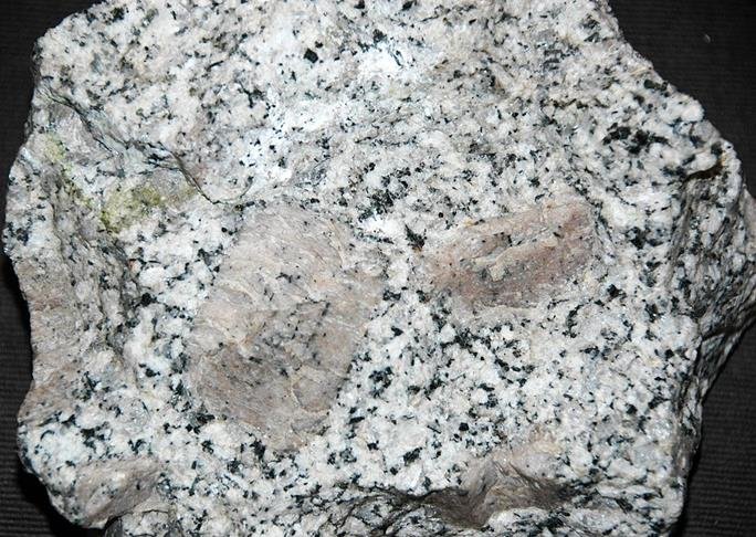 Porphyritic granodiorite